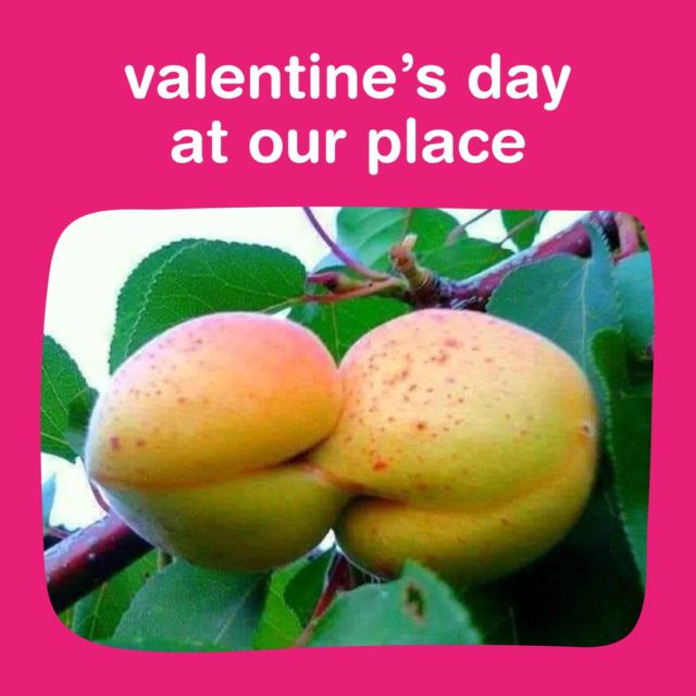 We know that we love fruit, but we had no idea just how much fruit loves fruit! Love on we say. Happy Valentine’s Day folks.⁠
#valentinesday #heart⁠