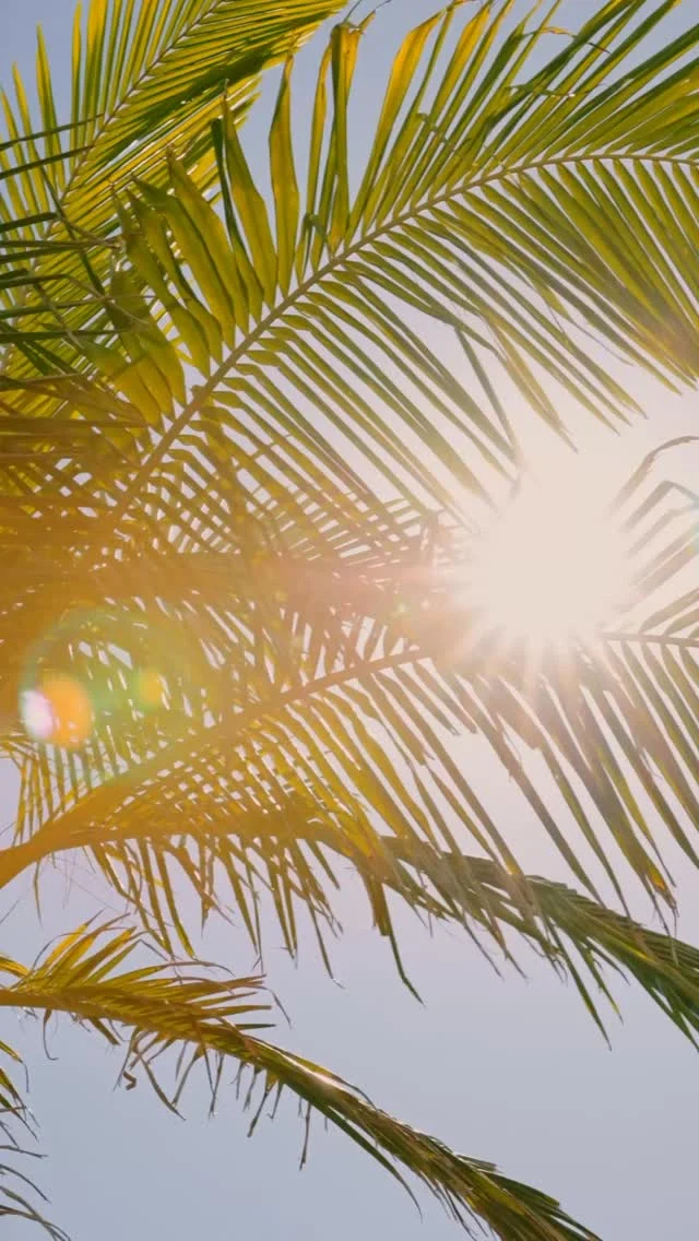 We hope you don’t even know what day it is and are somewhere enjoying a mocktail poolside! 😎🧴🧃🏝️

#nudiejuice #creatorsofgood #summerholidays #balanceoverbooze